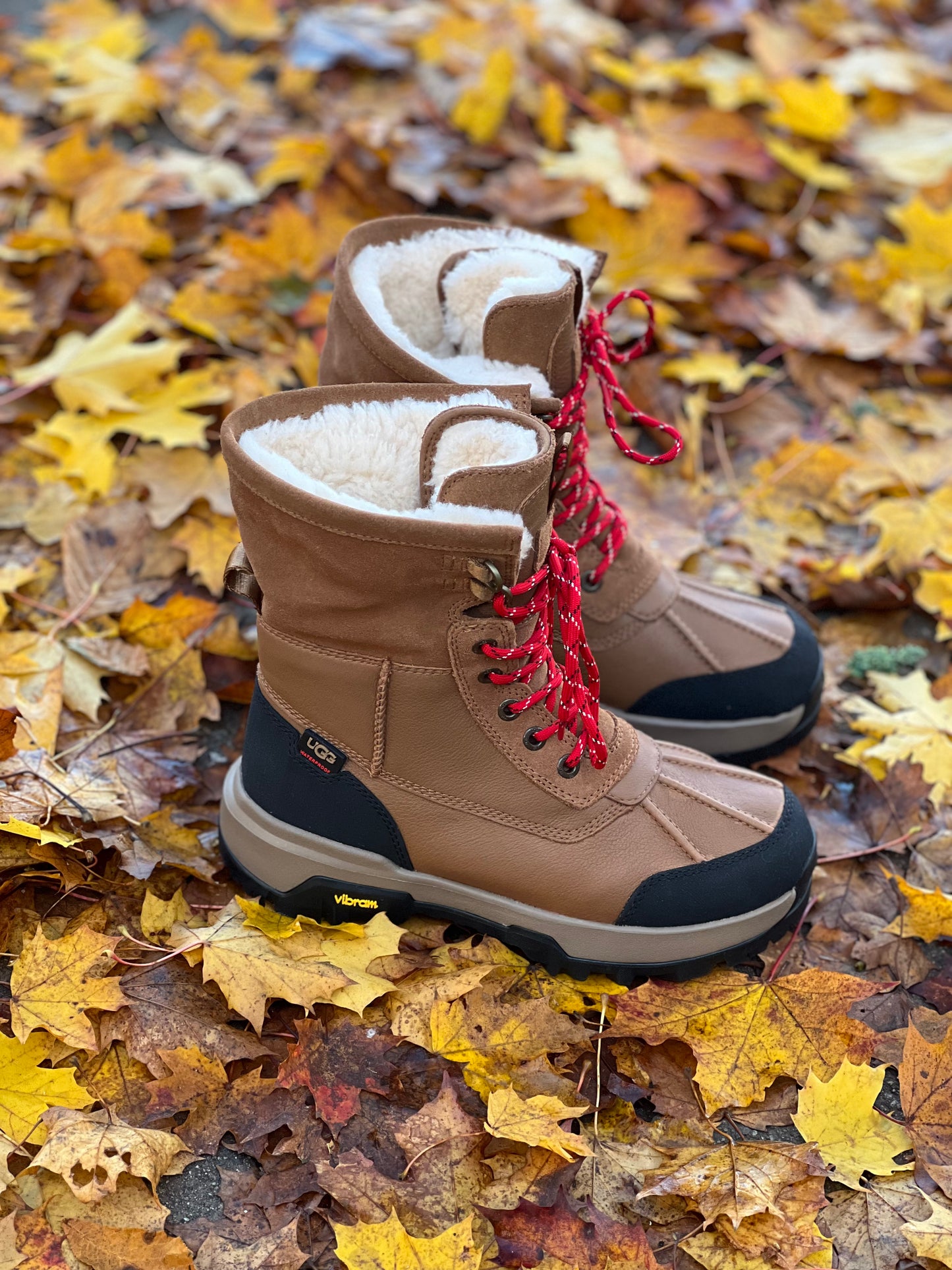W Adirondack Boot -chestnut
