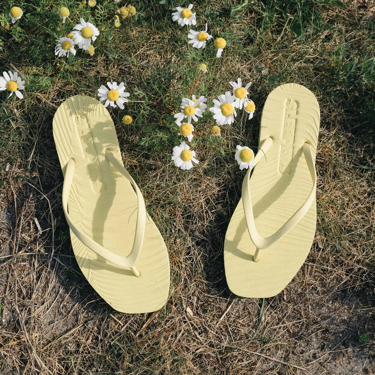Tapered - Mellow yellow