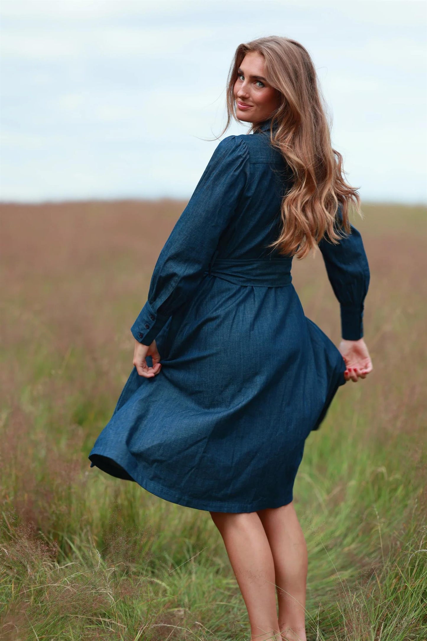 Fiona Denim Dress